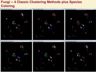 Fungi -- 4 Classic Clustering Methods plus Species
Coloring
368/28/2016
 
