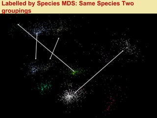 388/28/2016
Labelled by Species MDS: Same Species Two
groupings
 