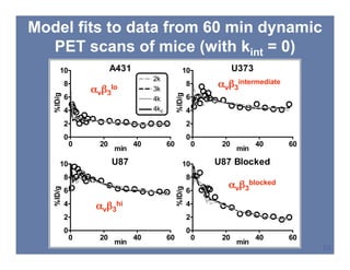 SNM 2008, New Orleans