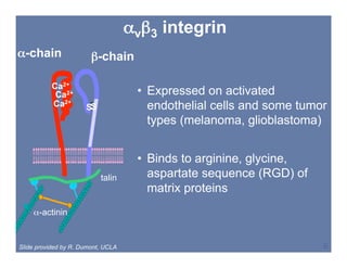 SNM 2008, New Orleans