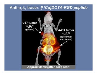 SNM 2008, New Orleans