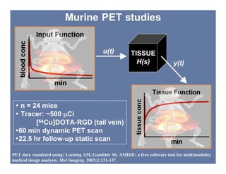 SNM 2008, New Orleans