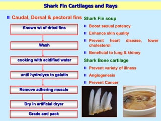 Marine Bio-Prospecting | PPT | Chemistry | Science