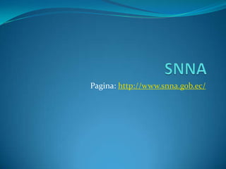Pagina: http://www.snna.gob.ec/

 