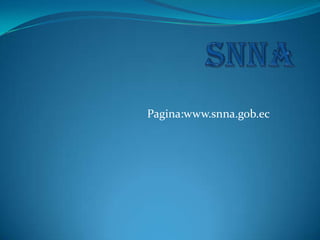 Pagina:www.snna.gob.ec

 