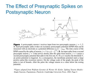 Introduction to Spiking Neural Networks: From a Computational ...