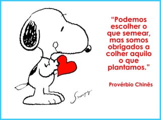 “ Podemos escolher o que semear, mas somos obrigados a colher aquilo o que plantamos.” Provérbio Chinês 