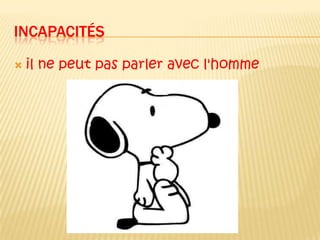 Incapacitésil ne peut pas parler avec l'homme