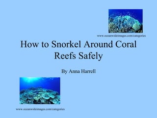 How to Snorkel Around Coral Reefs Safely By Anna Harrell www.oceanwideimages.com/categories www.oceanwideimages.com/categories 