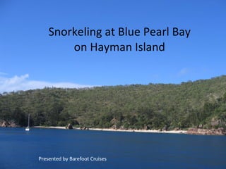 Snorkeling at Blue Pearl Bay on Hayman Island Presented by Barefoot Cruises 