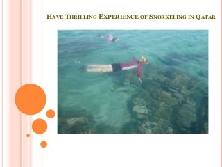 HAVE THRILLING EXPERIENCE OF SNORKELING IN QATAR
 