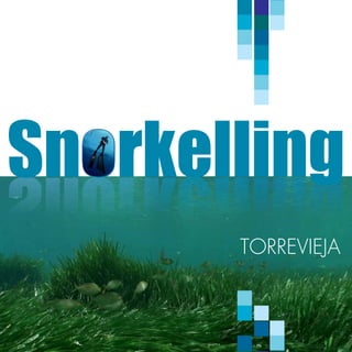 Snorkelling
       Torrevieja
 