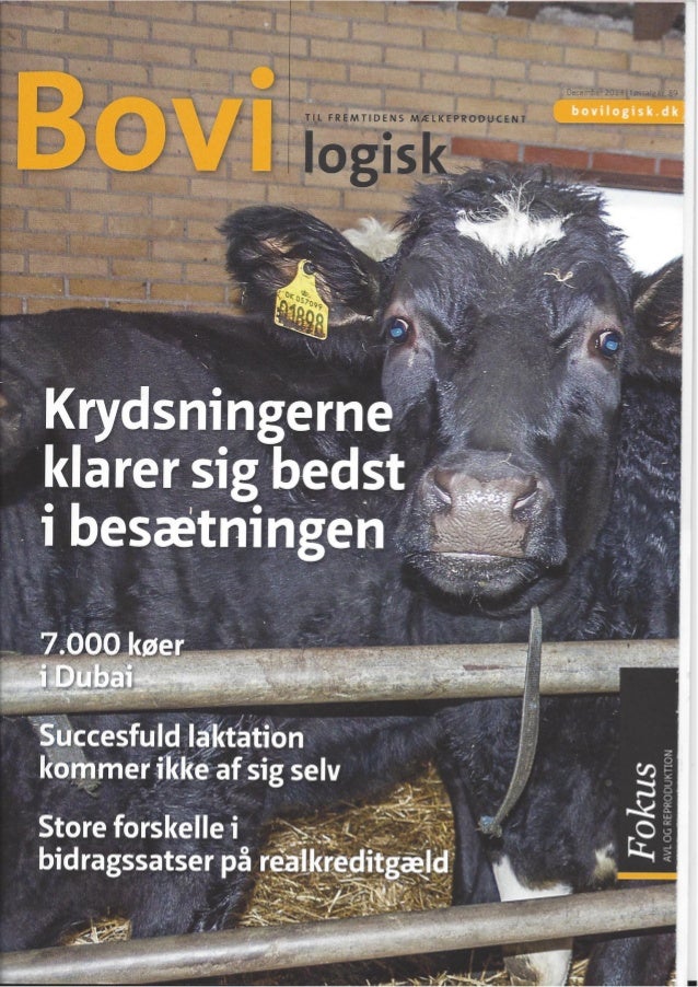 Snorri sigurdsson 2013. 7.000 ker i dubai. bovilogisk 27 (12); 22 24