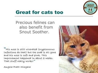 snout soother canada