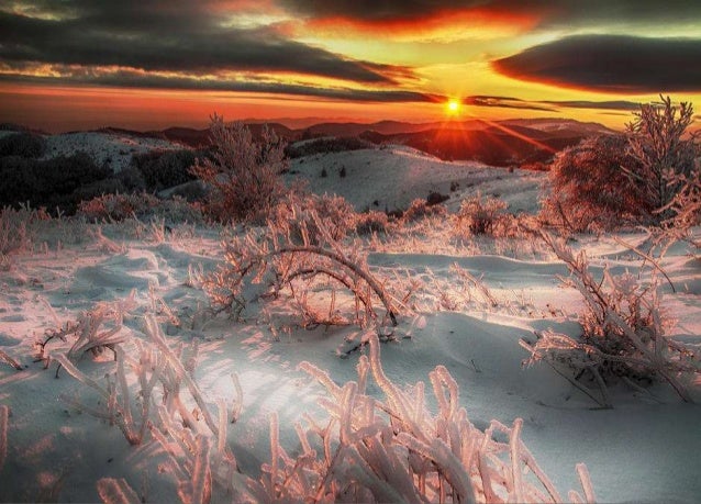 First prize-By Mike Stephenson
 