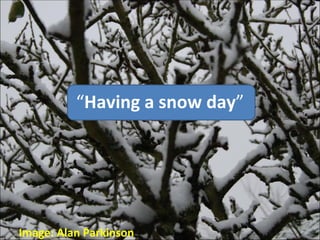 “ Having a snow day ” Image: Alan Parkinson 