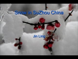 Snow in SuZhou China Jin Ling 