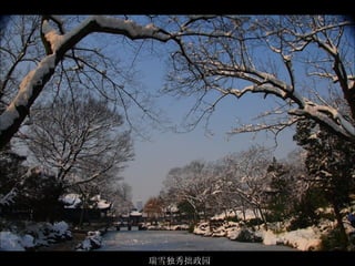 瑞雪独秀拙政园  