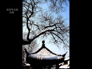 姑苏冬天的风韵  