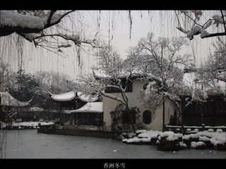 香洲冬雪  