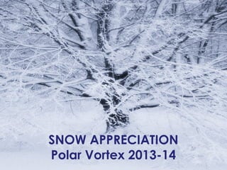 SNOW APPRECIATION
Polar Vortex 2013-14
 