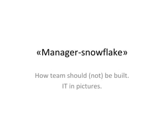 «Manager-snowflake» 
How team should (not) be built. 
IT in pictures. 
 