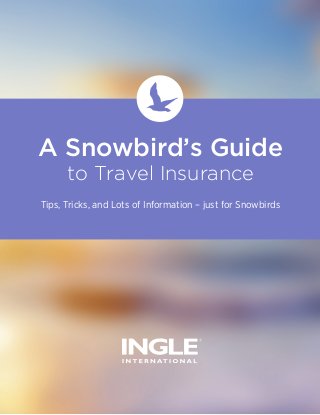 A Snowbird’s Guide
to Travel Insurance
Tips, Tricks, and Lots of Information – just for Snowbirds

 