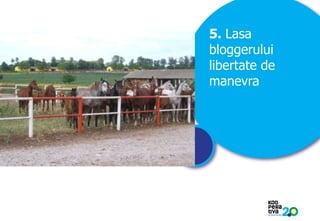 5. Lasa
bloggerului
libertate de
manevra

KONSTRUIM

 