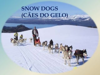 SNOW DOGS (CÃES DO GELO) 