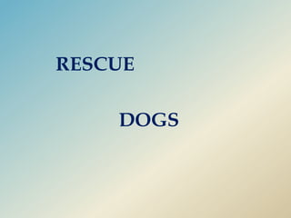        RESCUE                    DOGS                    