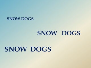 SNOW DOGSSNOW   DOGSSNOW  DOGS