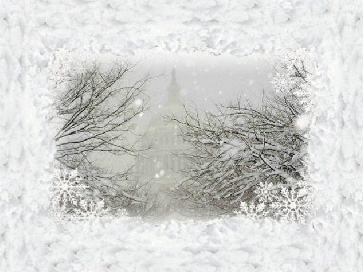 Snowfall Washington Dc February 2010