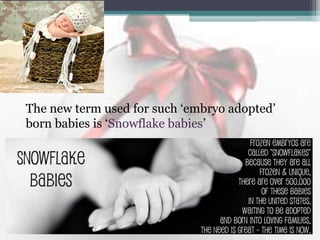 The new term used for such „embryo adopted‟
born babies is „Snowflake babies‟
 