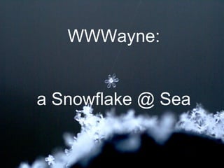 WWWayne: a Snowflake @ Sea 