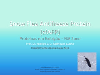 Snow Flea Antifreeze Protein
          (sfAFP)
   Proteínas em Exibição - PDB 2pne
      Prof. Dr. Rodrigo L. O. Rodrigues Cunha
         Transformações Bioquímicas 2012




                     Felipe Kelemen (11131011)
             Nádia Souza Sandim Guimarães (11008911)
                   Projeto Proteínas em Exibição
 