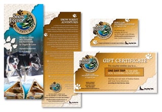 Snowforest Adventures Promotional Package