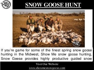 SNOW GOOSE HUNT
If you’re game for some of the finest spring snow goose
hunting in the Midwest, Show Me snow goose hunting,
Snow Geese provides highly productive guided snow
goose hunts. Visit Our Website
www.showmesnowgeese.com
 