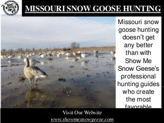 MISSOURI SNOW GOOSE HUNTING
Missouri snow
goose hunting
doesn’t get
any better
than with
Show Me
Snow Geese’s
professional...