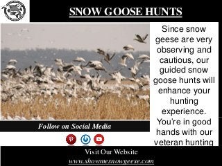 SNOW GOOSE HUNTS
Since snow
geese are very
observing and
cautious, our
guided snow
goose hunts will
enhance your
hunting
experience.
You’re in good
hands with our
veteran hunting
guides because
they are highly
Visit Our Website
www.showmesnowgeese.com
Follow on Social Media