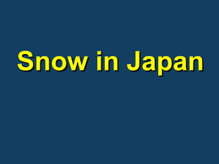                            Snow in Japan       