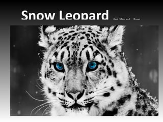 Snow Leopard                                           Axel, Marc and   Roger




Haga clic para modificar el estilo de subtítulo del patrón
 