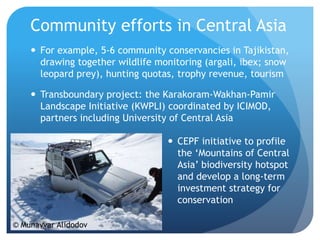 Community efforts in Central Asia
 For example, 5-6 community conservancies in Tajikistan,
drawing together wildlife monitoring (argali, ibex; snow
leopard prey), hunting quotas, trophy revenue, tourism
 Transboundary project: the Karakoram-Wakhan-Pamir
Landscape Initiative (KWPLI) coordinated by ICIMOD,
partners including University of Central Asia
© Munavvar Alidodov
 CEPF initiative to profile
the ‘Mountains of Central
Asia’ biodiversity hotspot
and develop a long-term
investment strategy for
conservation
 
