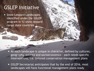 GSLEP Initiative
 Snow Leopard Landscapes
identified under the GSLEP
program in 12 snow leopard
range state countries
 As each landscape is unique in character, defined by cultures,
geography, politics and socioeconomics – each needs specific
interventions, i.e. tailored conservation management plans
 GSLEP Secretariat anticipates that by the end of 2016, most
landscapes will have functional management plans ready
 