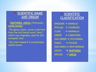 SNOW LEOPARD(PANTHERA UNCIA) | PPT