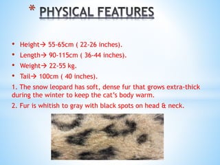 • Height 55-65cm ( 22-26 inches).
• Length 90-115cm ( 36-44 inches).
• Weight 22-55 kg.
• Tail 100cm ( 40 inches).
1. The snow leopard has soft, dense fur that grows extra-thick
during the winter to keep the cat’s body warm.
2. Fur is whitish to gray with black spots on head & neck.
*
 