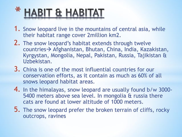 SNOW LEOPARD(PANTHERA UNCIA) | PPT