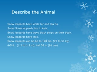 Describe the Animal

Snow leopards have white fur and tan fur.
Some Snow leopards live in Asia.
Snow leopards have wavy black strips on their body.
Snow leopards have tails.
Snow leopards can be 60 to 120 lbs. (27 to 54 kg).
4-5 ft. (1.2 to 1.5 m); tail 36 in (91 cm).
 