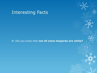 Interesting Facts




 Did you know that not all snow leopards are white?
 