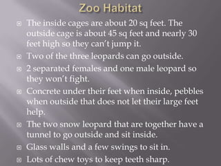 Zoo HabitatThe inside cages are about 20 sq feet. The outside cage is about 45 sq feet and nearly 30 feet high so they can’t jump it.Two of the three leopards can go outside.2 separated females and one male leopard so they won’t fight.Concrete under their feet when inside, pebbles when outside that does not let their large feet help.The two snow leopard that are together have a tunnel to go outside and sit inside.Glass walls and a few swings to sit in.Lots of chew toys to keep teeth sharp.