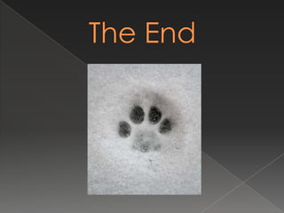 The End
